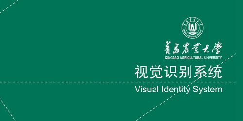 视觉识别系统